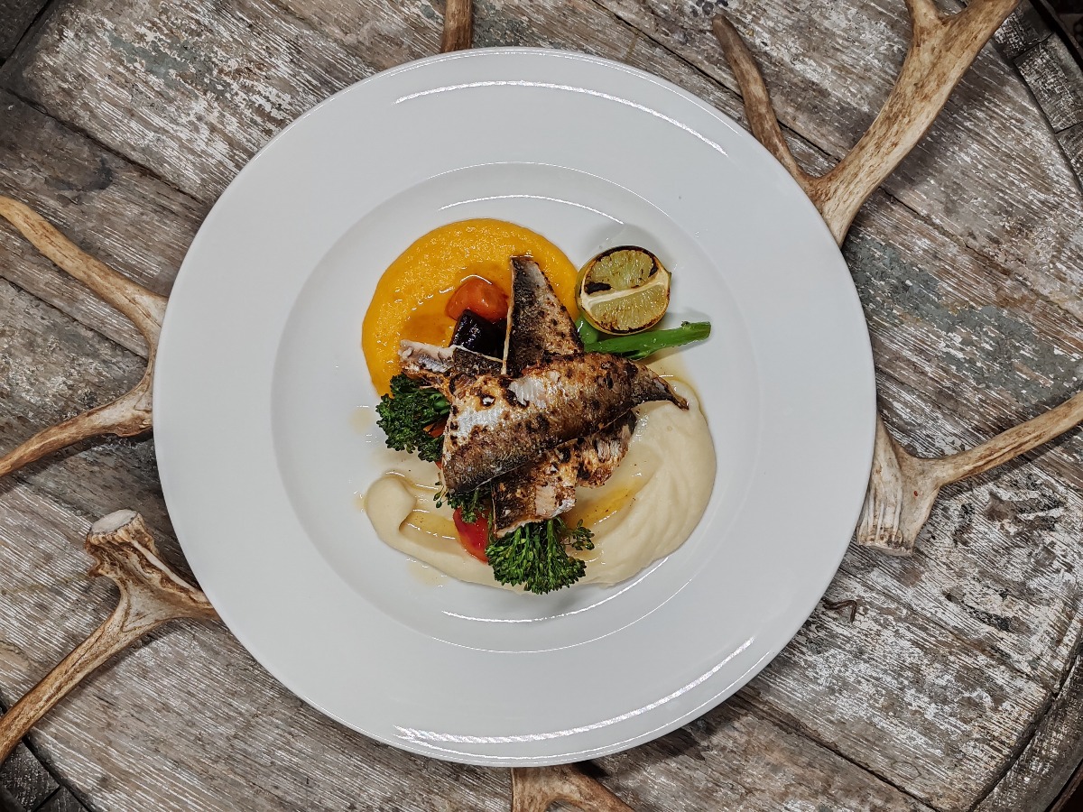 Hotel Royal - villiruokaa